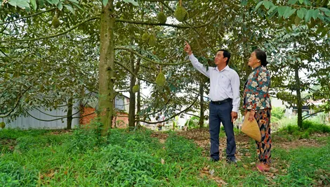 Nỗ lực hoàn thành xuất sắc nhiệm vụ