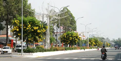 Vận động người dân để rác đúng nơi quy định