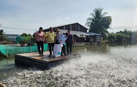Sản lượng thủy sản thu hoạch tăng nhẹ