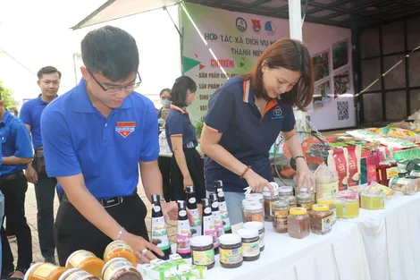 Vững tin khởi nghiệp, lập nghiệp