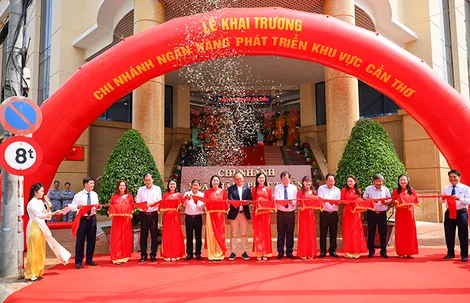 Chi nhánh Ngân hàng Phát triển khu vực Cần Thơ khai trương trụ sở làm việc