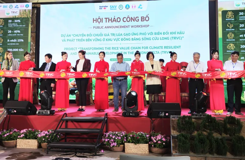 Công bố Dự án chuyển đổi chuỗi giá trị lúa gạo ứng phó với biến đổi khí hậu và phát triển bền vững ở ĐBSCL