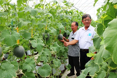 Sản xuất nông nghiệp đạt nhiều kết quả tích cực