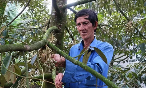 Lão nông năng động, hào sảng chia sẻ bí quyết làm giàu