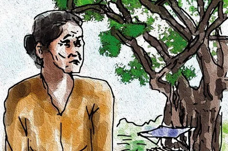 Cây đa của mẹ
