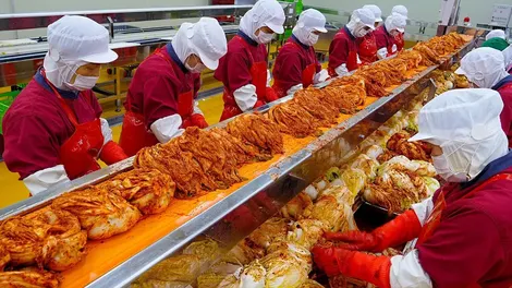 Xuất khẩu kim chi của Hàn Quốc đạt kỷ lục