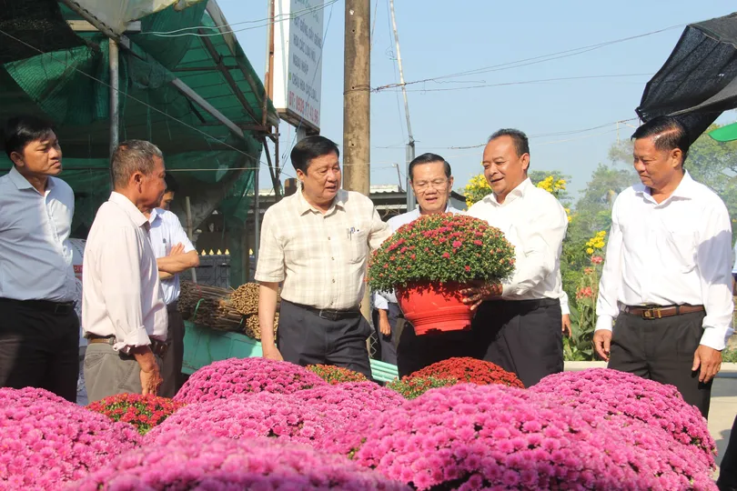 Lãnh đạo thành phố thăm mô hình sản xuất nông nghiệp phục vụ Tết