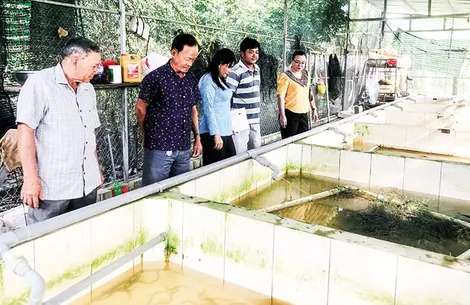 Phát huy hiệu quả mô hình “Dân vận khéo”