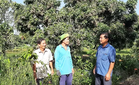 116 mô hình “Dân vận khéo” đạt hiệu quả cấp quận
