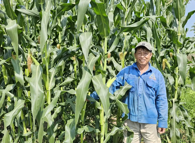 Đa dạng rau màu, trái cây phục vụ Tết Nguyên đán