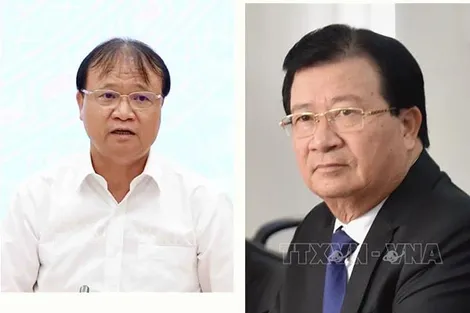 Bộ Chính trị, Ban Bí thư xem xét, thi hành kỷ luật tổ chức đảng, đảng viên