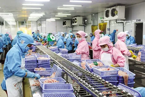 Kỳ vọng vững đà phục hồi kinh tế năm mới