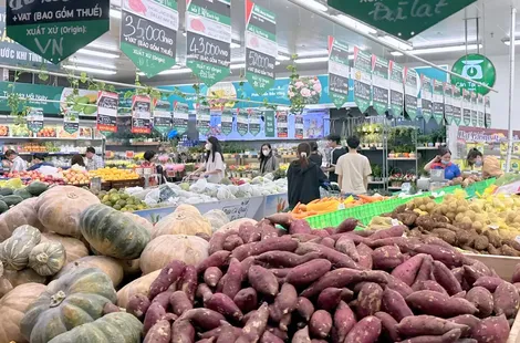 Hoạt động thương mại và dịch vụ diễn ra sôi động