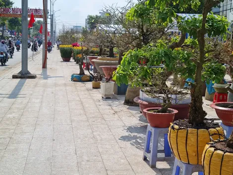 Đảm bảo hàng hóa chất lượng, an toàn phục vụ mua sắm dịp Tết