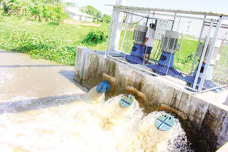 Vĩnh Thạnh tập trung chăm sóc lúa đông xuân