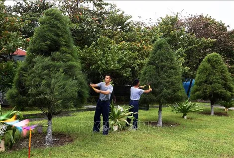 Sắc xanh ở Trường Sa
