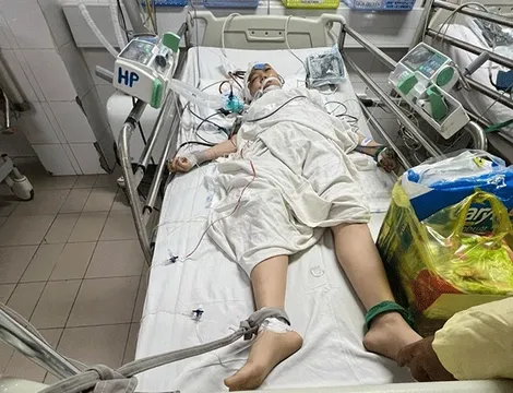Xin cứu giúp Hồ Lê Minh Thúy