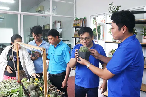 Người trẻ mong được hỗ trợ khởi nghiệp