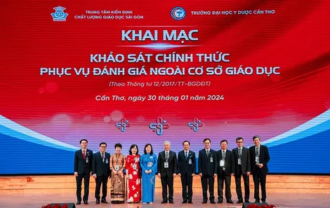 Khảo sát đánh giá ngoài 7 chương trình đào tạo thạc sĩ Trường Ðại học Y Dược Cần Thơ