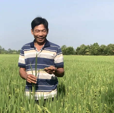 Tỉ phú lúa giống Trần Công Danh