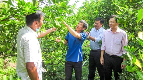 Giúp người dân vượt khó, thoát nghèo