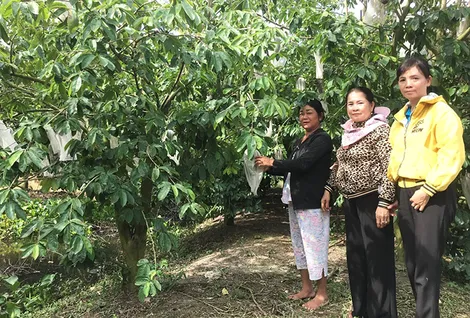 Trên 710 tỉ đồng phục hồi và phát triển kinh tế - xã hội