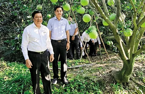 Ngành Nông nghiệp nỗ lực duy trì mức tăng trưởng cao