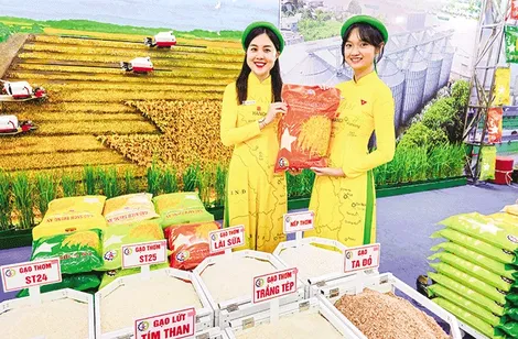 Làm nông hiện đại