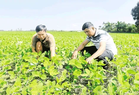 Sức mạnh hợp tác