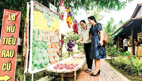Xuân về những vùng quê đáng sống