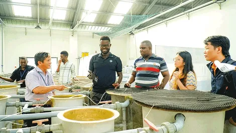 Xây dựng mạng lưới đào tạo đa quốc gia