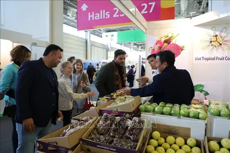 Xúc tiến xuất khẩu rau quả Việt Nam tại Hội chợ Fruit Logistica 2024