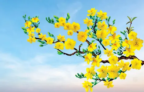 Khát vọng thành phố đồng bằng!
