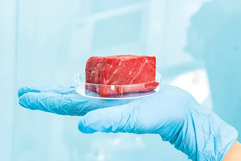 Sắp tới thời của thịt nhân tạo?