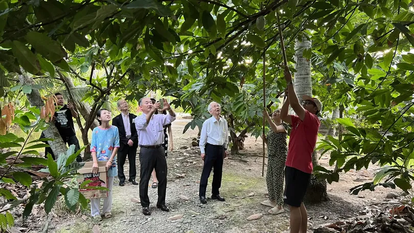 Lời khuyên đầu năm