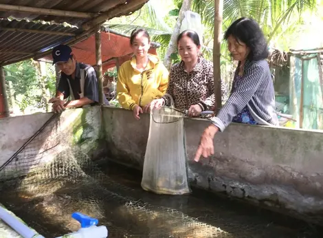 Tập trung các giải pháp nâng cao chất lượng tín dụng chính sách