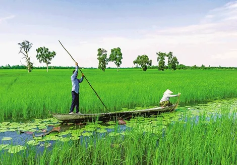 Dấu ấn CRxN và "Nàng"