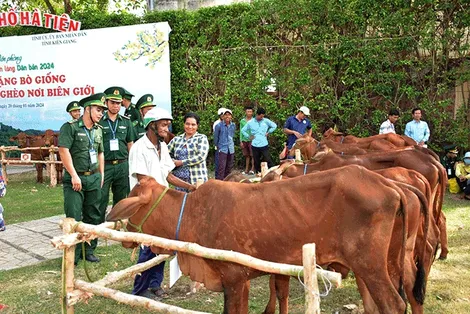 Thắm tình quân - dân nơi biên giới