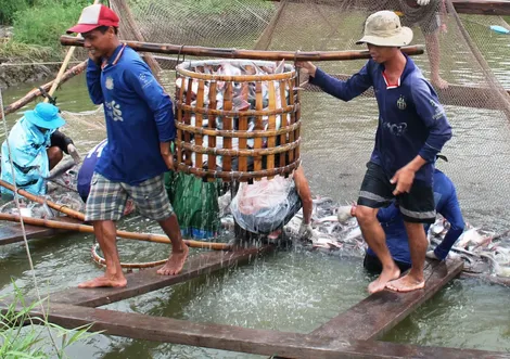 Giá cả thị trường