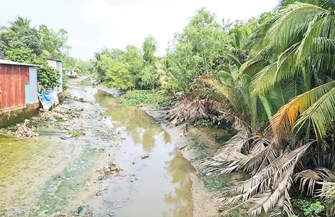 Tập trung ứng phó xâm nhập mặn, khô hạn