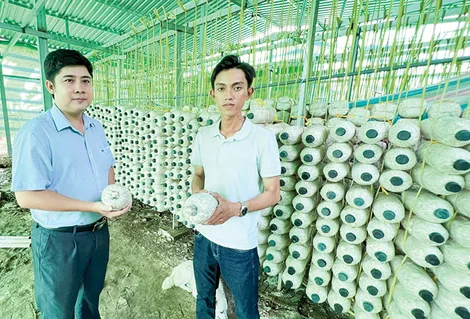 Thanh niên Ô Môn khởi nghiệp từ nhiều mô hình hiệu quả