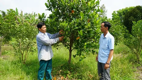 Xây dựng niềm tin trong nhân dân