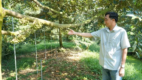 Có chí thì nên