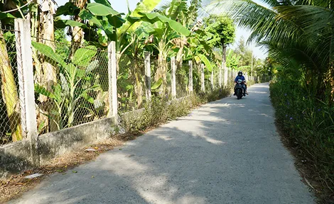 Nêu cao tinh thần “tự soi”, “tự sửa”
