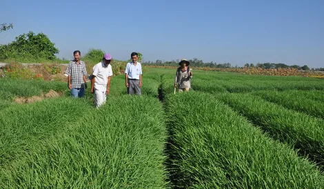 Diện mạo mới ở phường Thạnh Hòa