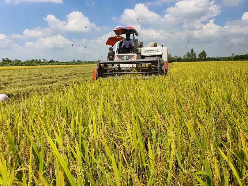 Nâng cao hiệu quả sản xuất nông nghiệp