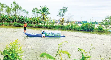 Phát triển ngành Thủy sản theo quy hoạch, đạt chuẩn phục vụ thị trường