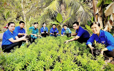 Sẽ có 3 ngày cao điểm tình nguyện trong Tháng Thanh niên