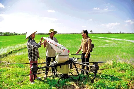 Khi nhà nông Kiên Giang chuyển đổi số