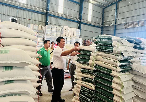 Hỗ trợ doanh nghiệp ổn định sản xuất kinh doanh